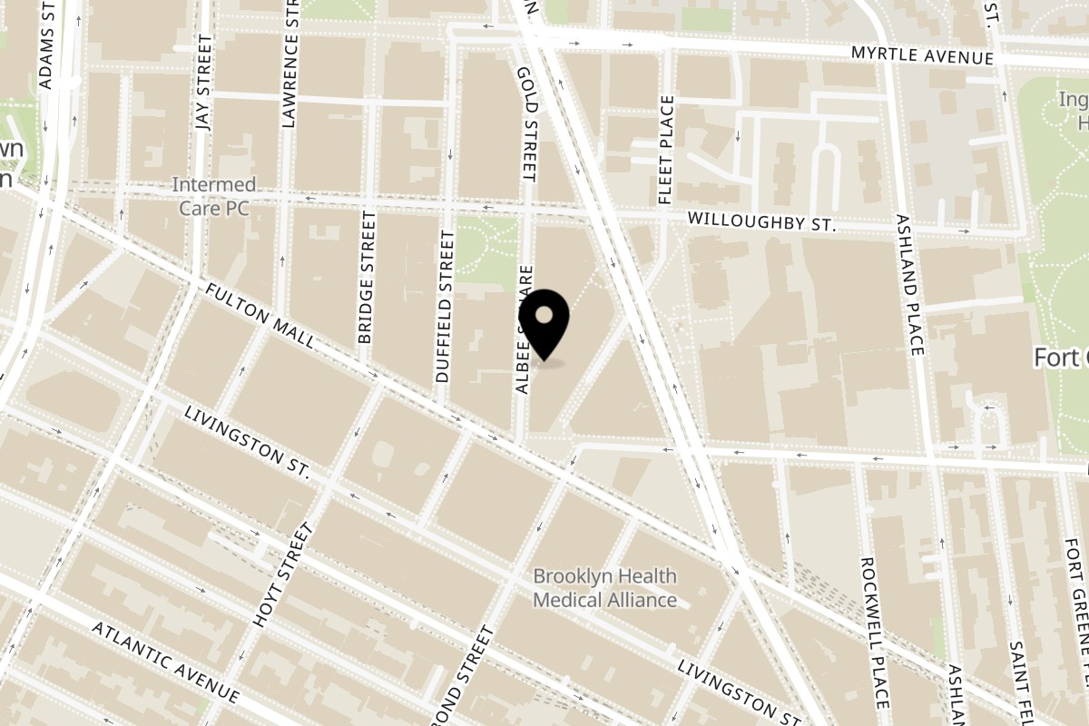 Map showing the location of Twentyonegrains Brooklyn on 445 Albee Square W in Brooklyn