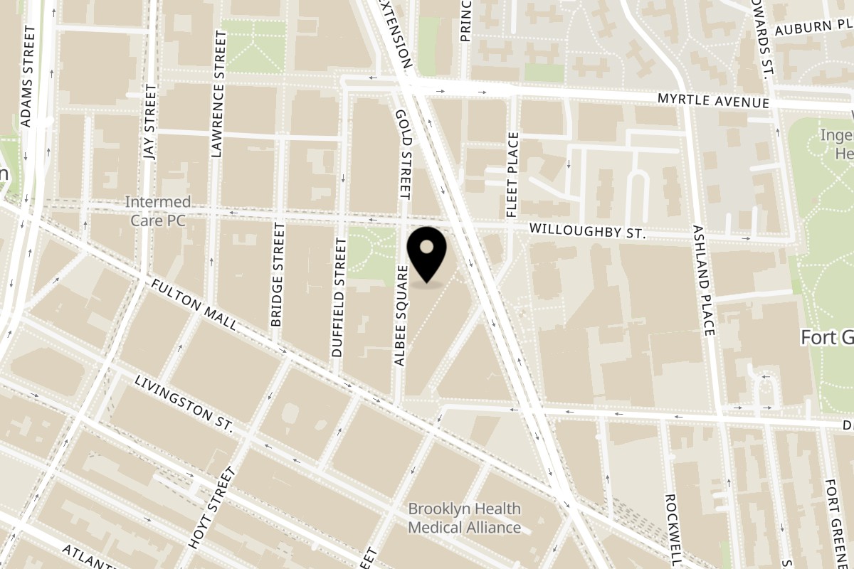 Map showing the location of Twentyonegrains Brooklyn on 445 Albee Square W in Brooklyn